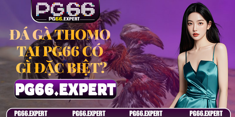 Đá Gà Thomo tại PG66 có gì đặc biệt?