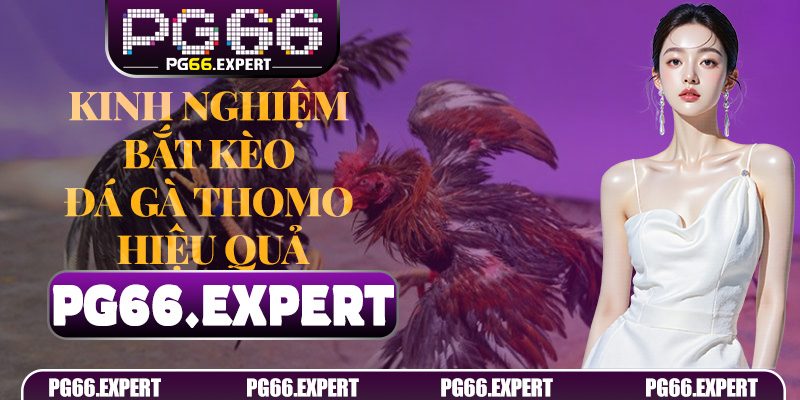 Quản lý vốn thông minh khi chơi Đá Gà Thomo