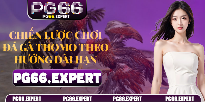 Chiến lược chơi Đá Gà Thomo theo hướng dài hạn